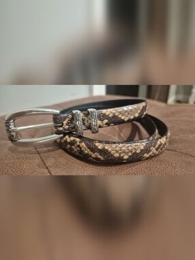 Brighton Snakeskin Print Belt Large/34